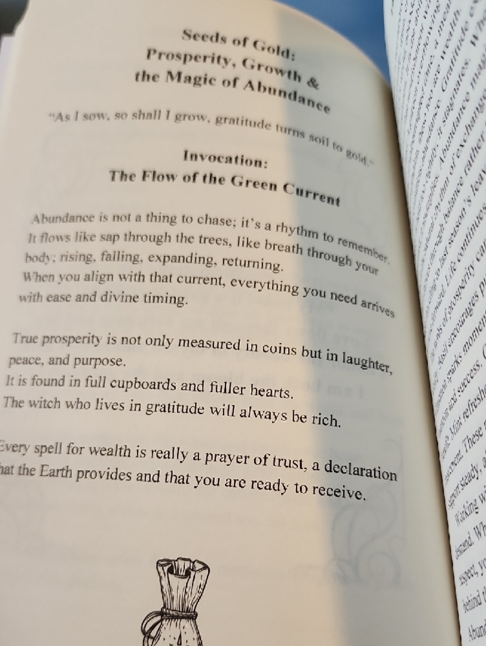 Root&Ritual The Green Witches Grimoire Of Healing, Ritual, And Earth Magic. - Picture 6 of 11